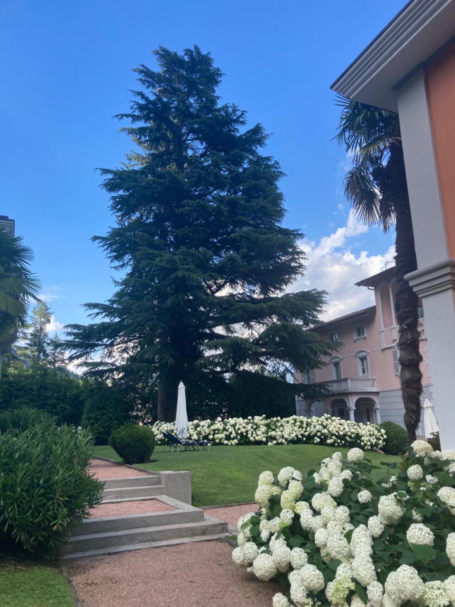 Ville Lago Lugano Porto Ceresio Extérieur photo
